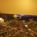foto de navidades